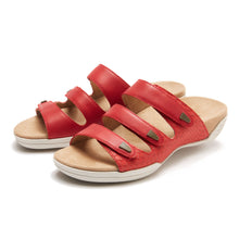 Load image into Gallery viewer, Halsa - Delight